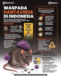 Urgensi Kewaspadaan terhadap Hantavirus di Indonesia